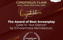 سکوت آوا برنده جایزه بهترین فیلمنامه از جشنواره سینه فلیا هندوستان شد.